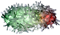 Symbio Cloud