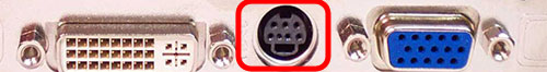 component-videokaart